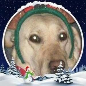 Meet your Posher, Shara